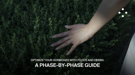 Comprehensive Hormone Support with Foods and Herbs: The Ultimate Guide