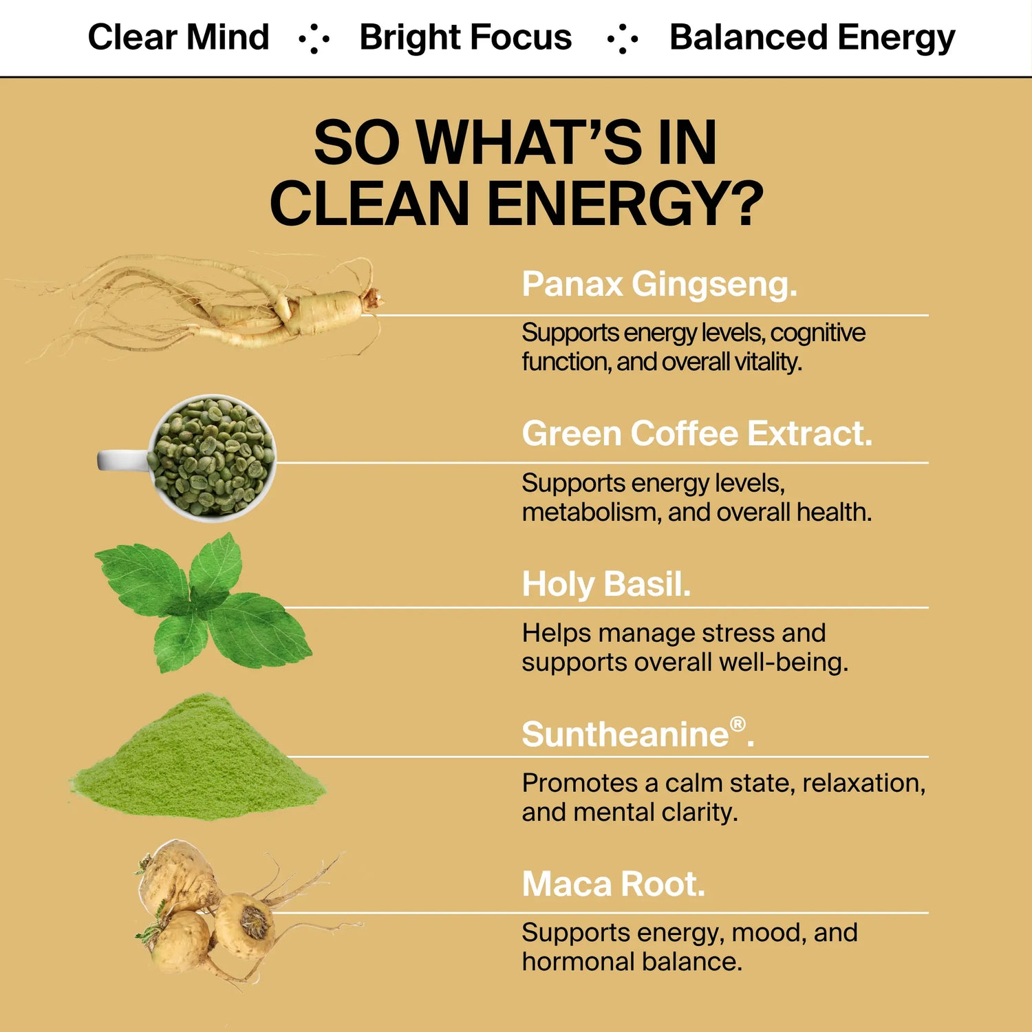 BIOSTRIPS clean energy ingredients listed with their benefits.