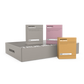 WELLNESS TRIO BUNDLE
