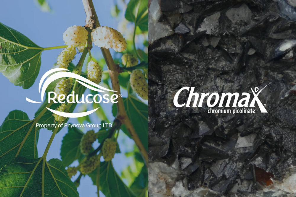 Split panel of white mulberry (Reducose) and chromium mineral (Chromax) ingredient sources